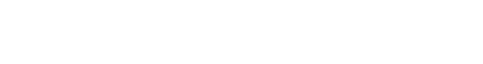 Pronetsys